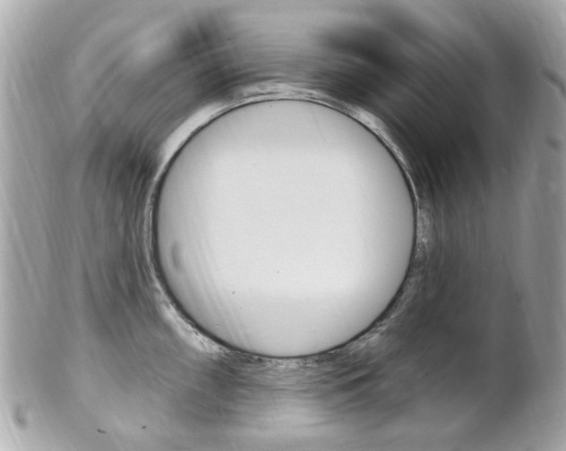 X0000102001098200807180843