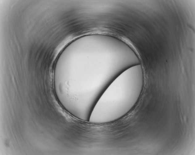 X0000102001099200807180843