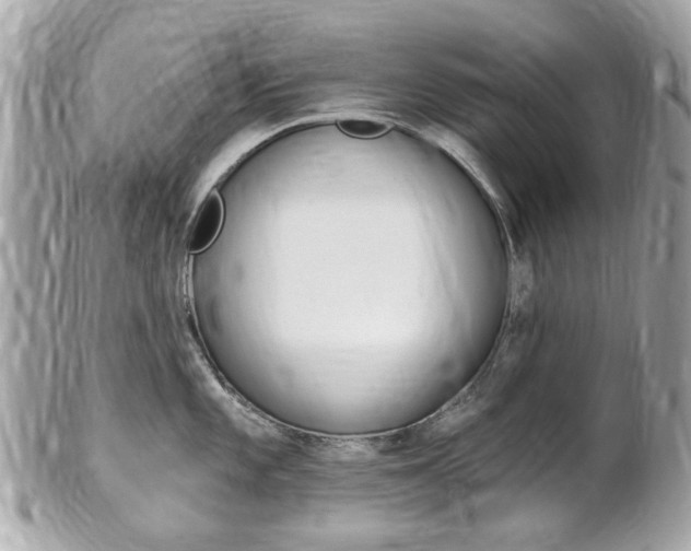 X0000102001101200807180843