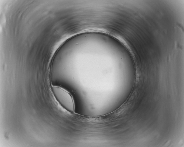 X0000102001102200807180843