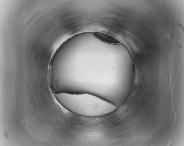 X0000102001103200807180843