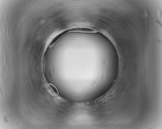 X0000102001104200807180843