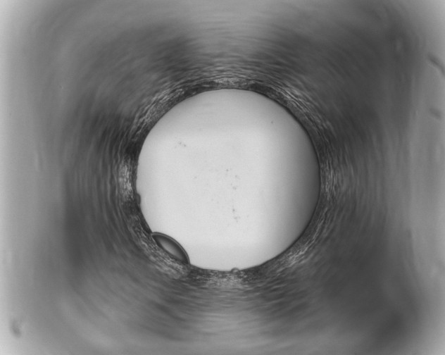 X0000102001106200807180842
