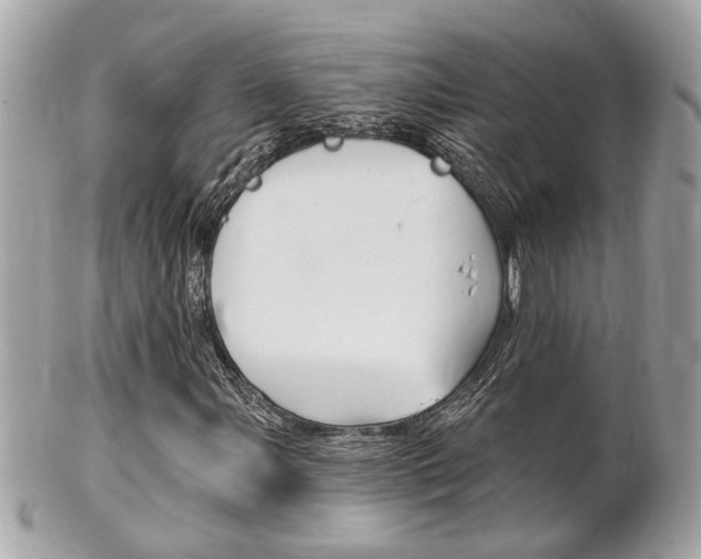 X0000102001107200807180842