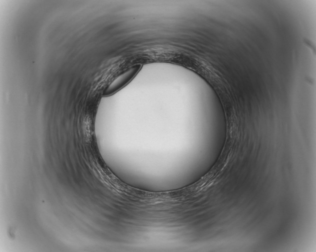 X0000102001108200807180842