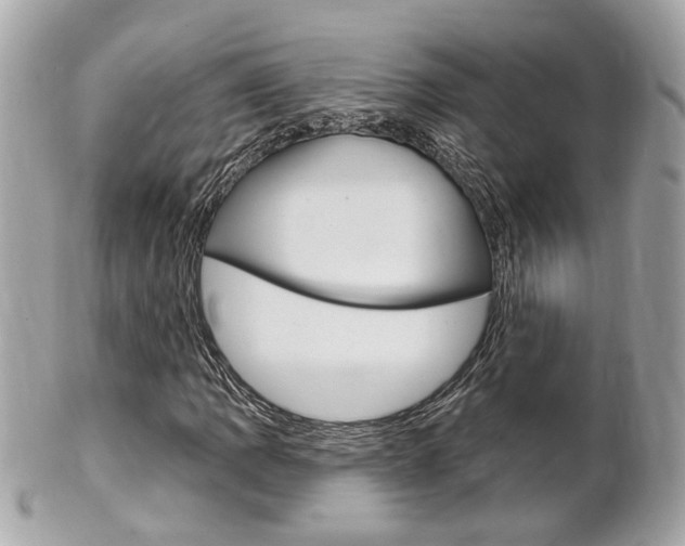 X0000102001109200807180842
