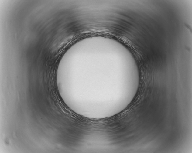 X0000102001110200807180842