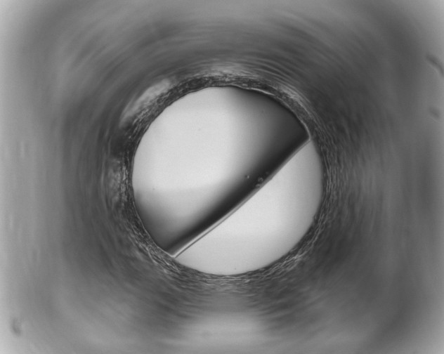 X0000102001111200807180842