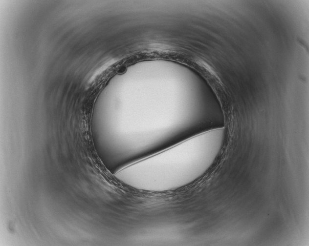 X0000102001112200807180842