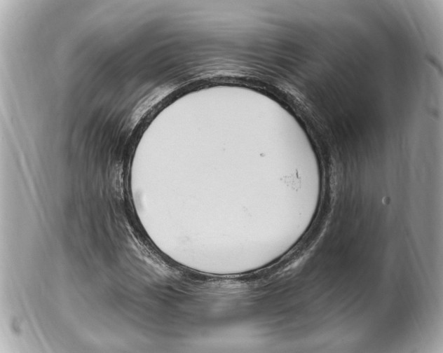 X0000102001113200807180842