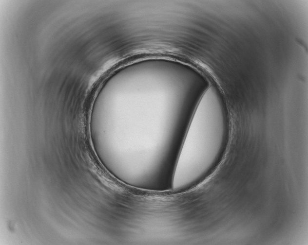 X0000102001114200807180842