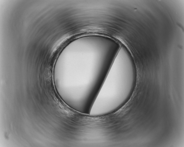 X0000102001115200807180842