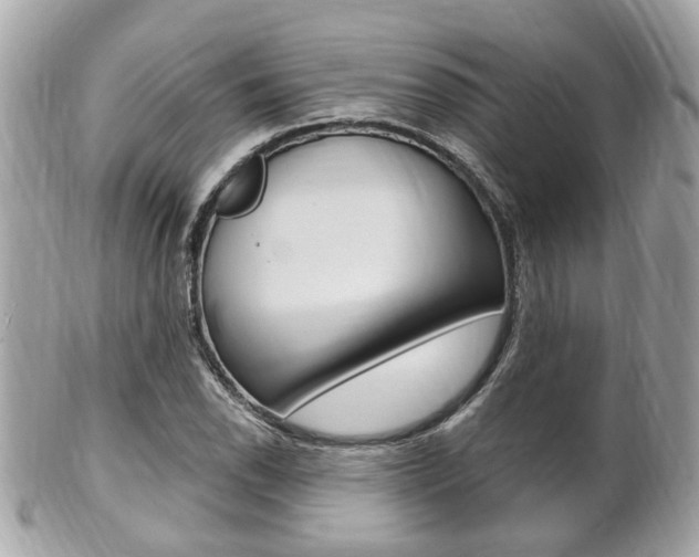 X0000102001118200807180842