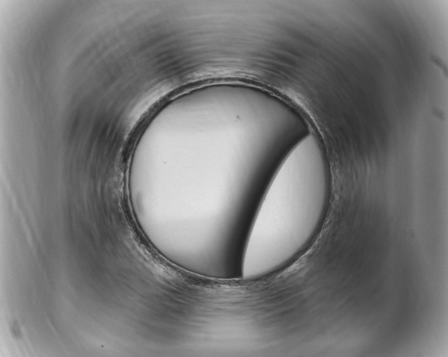 X0000102001119200807180842
