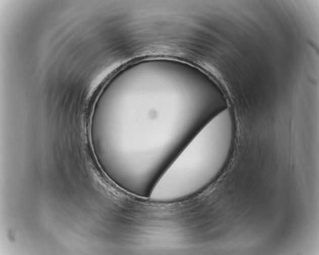 X0000102001120200807180842