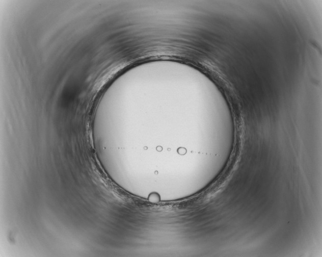 X0000102001121200807180842