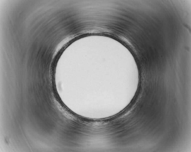 X0000102001122200807180842