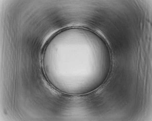 X0000102001124200807180842