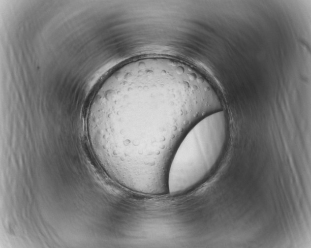 X0000102001125200807180842