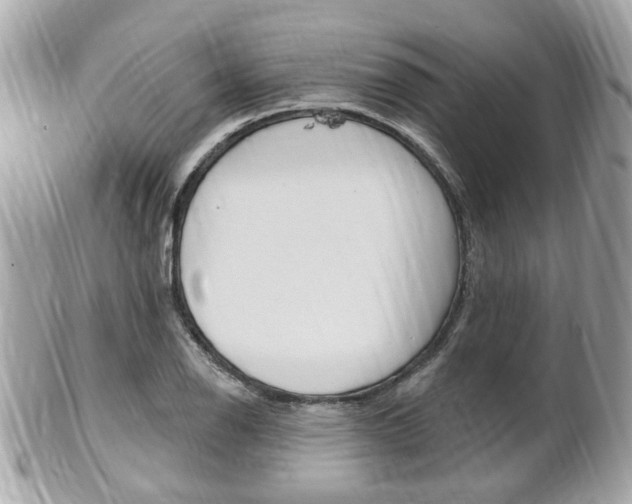 X0000102001126200807180842