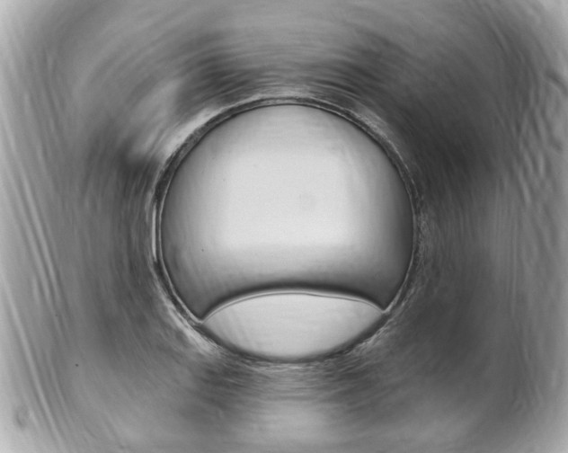 X0000102001127200807180842
