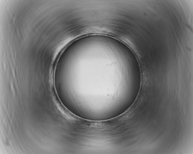 X0000102001128200807180842