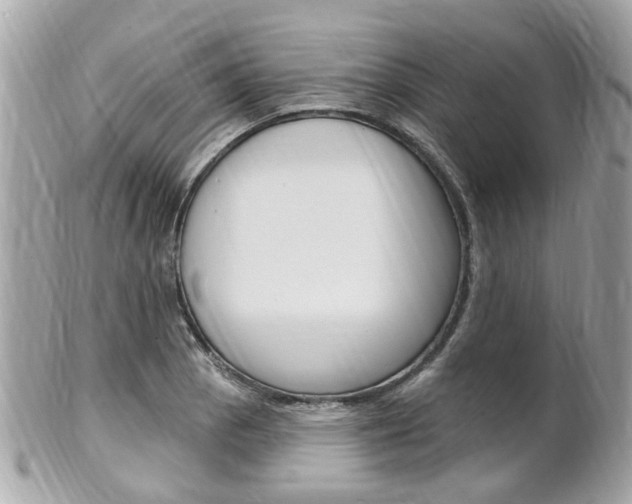 X0000102001129200807180842