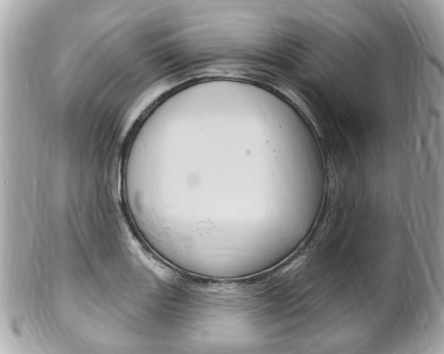 X0000102001131200807180842