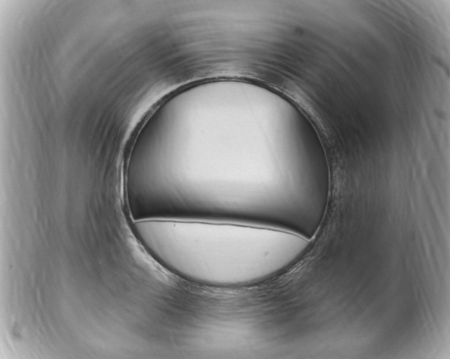 X0000102001132200807180842