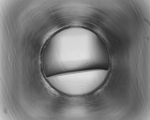 X0000102001133200807180842