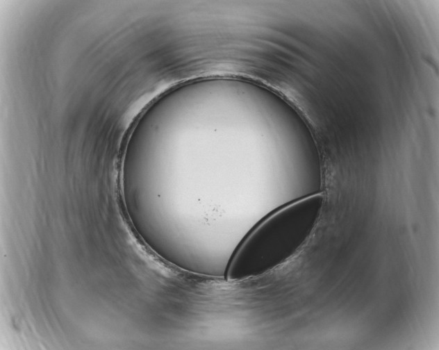 X0000102001134200807180842