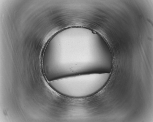 X0000102001135200807180842