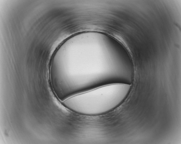 X0000102001136200807180842