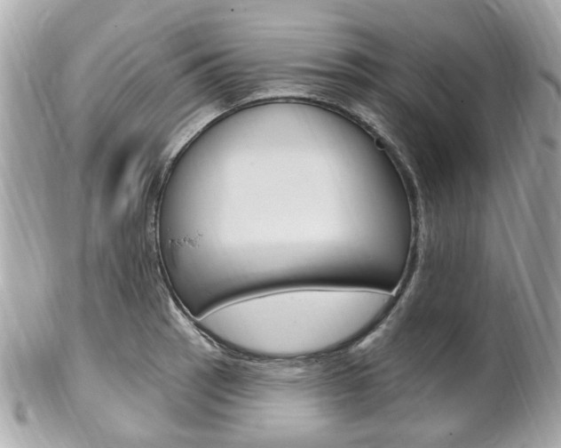 X0000102001137200807180842