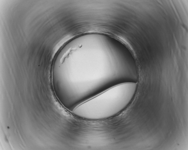 X0000102001138200807180842