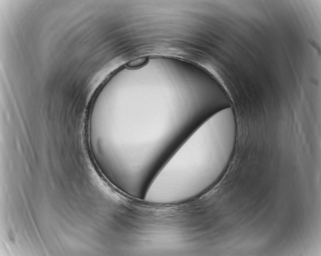 X0000102001139200807180842
