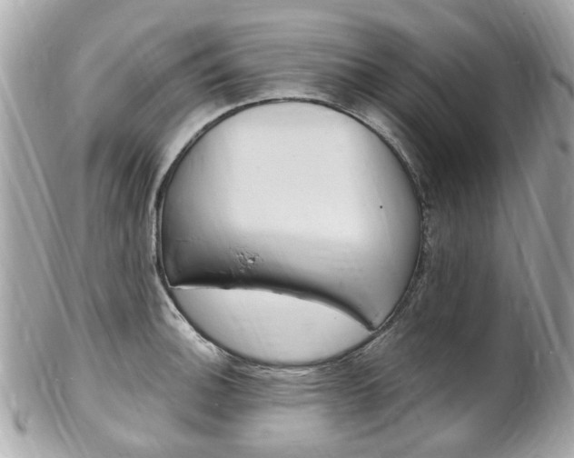 X0000102001140200807180842