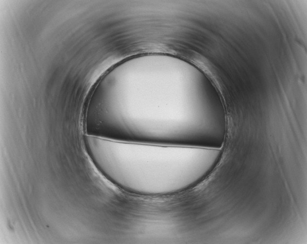 X0000102001141200807180842