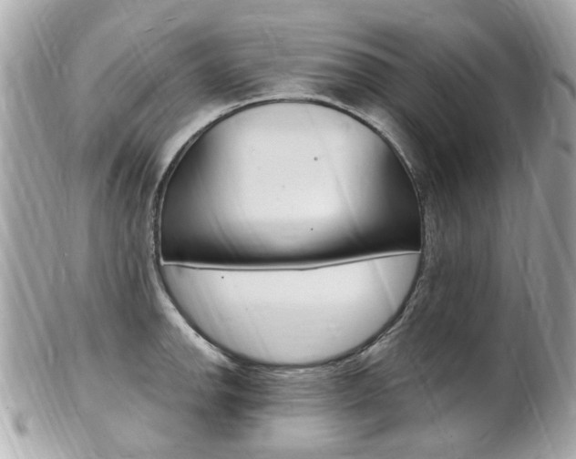 X0000102001142200807180842