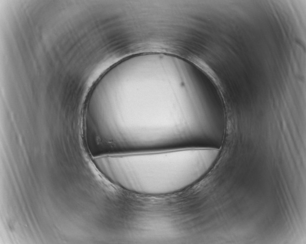 X0000102001144200807180842