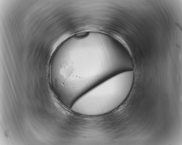 X0000102001146200807180842