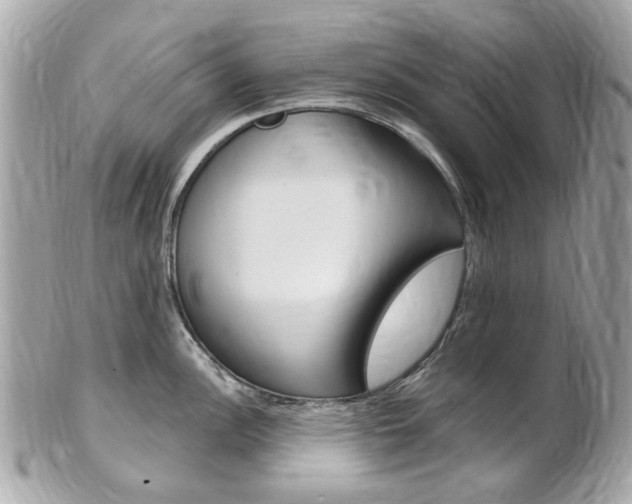 X0000102001148200807180842