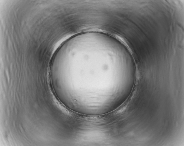 X0000102001149200807180842