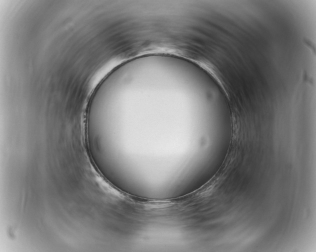 X0000102001151200807180843