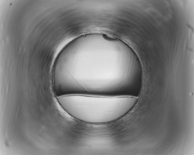 X0000102001152200807180843