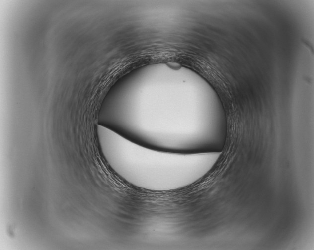 X0000102001153200807180842
