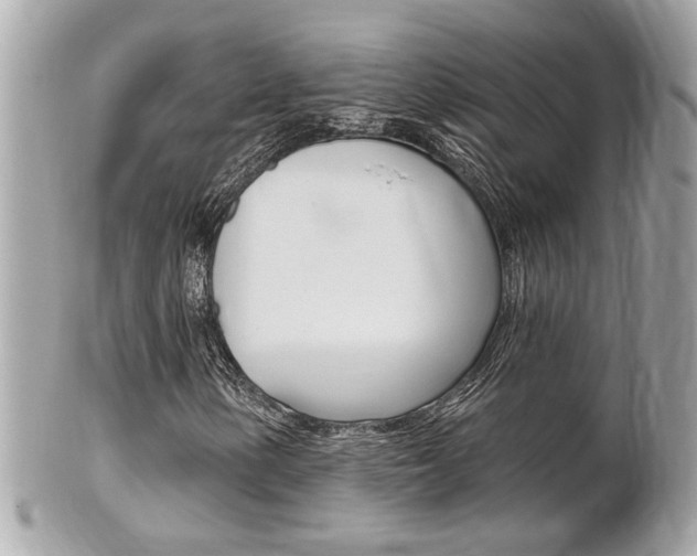 X0000102001154200807180842