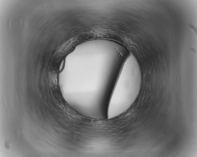 X0000102001155200807180842