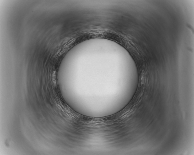 X0000102001156200807180842