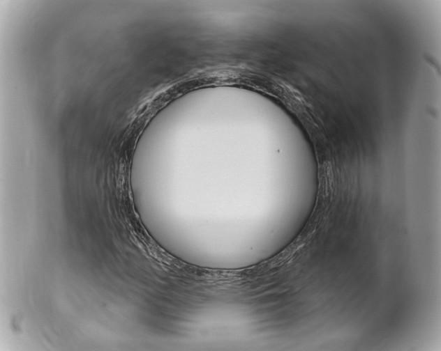 X0000102001158200807180842